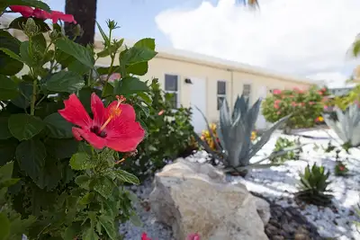 Florida Recovery Group - Mental health facility in Delray Beach offering Outpatient, Partial Hospitalization Program (PHP) services