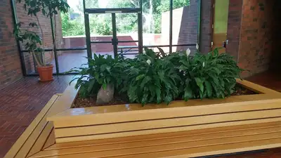 Canyon Behavioral Health - Mental health facility in Westminster offering Mental Health Services, Behavioral Health Services services