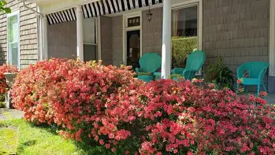 Wysocki Psychological Services - Mental health facility in Jonesboro offering Mental Health Services, Counseling services