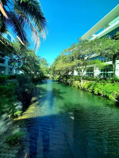 UM Psychological Services Center - Mental health facility in Coral Gables offering Outpatient Treatment, Individual Therapy services