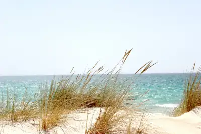 Coastal Carolina Behavioral Health - Mental health facility in Myrtle Beach offering Behavioral Health Services, Diagnostics services