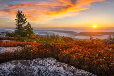 WV Psychiatric Services - Mental health facility in Snowshoe offering Mental Health Services, Mental Health Assessment services