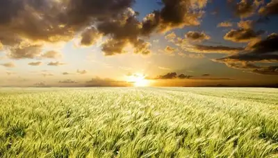 Washington County Mental Health Services - Sunrise Wellness Center - Mental health facility in Montpelier offering Outpatient Treatment, Peer Support services