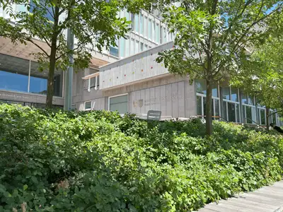 Harvard University Mental Health Services - Mental health facility in Cambridge offering Outpatient, Short-Term Counseling services