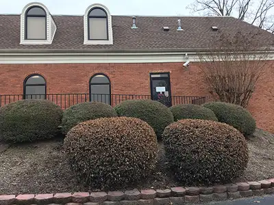 Health Connect America - Mental health facility in Jackson offering Mental Health Services, Health Link services