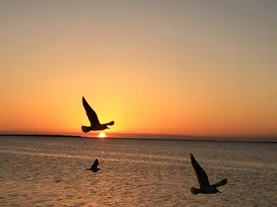 Kinder in the Keys Treatment Center - Mental health facility in Key Largo offering Mental Health Services, Inpatient services