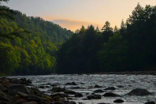 Mental health facilities in Pittsburgh, Pennsylvania - Find treatment centers